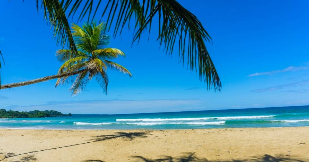 Things to Do in Panama City Beach