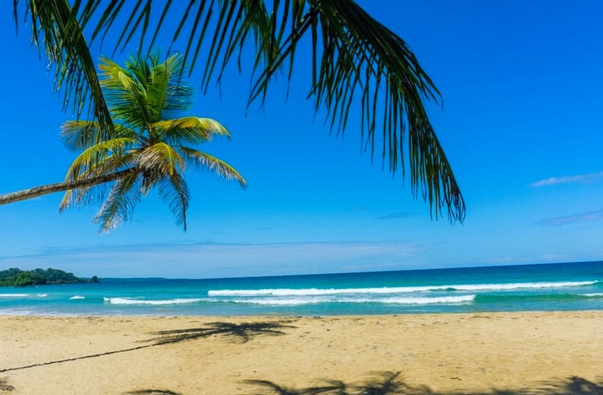 Things to Do in Panama City Beach